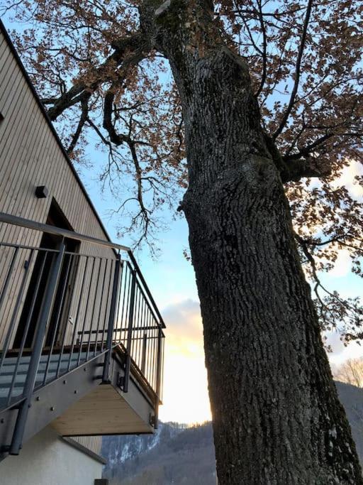 Kampenzeit Loft Mit Traumhaftem Panoramablick Aschau im Chiemgau Exterior foto